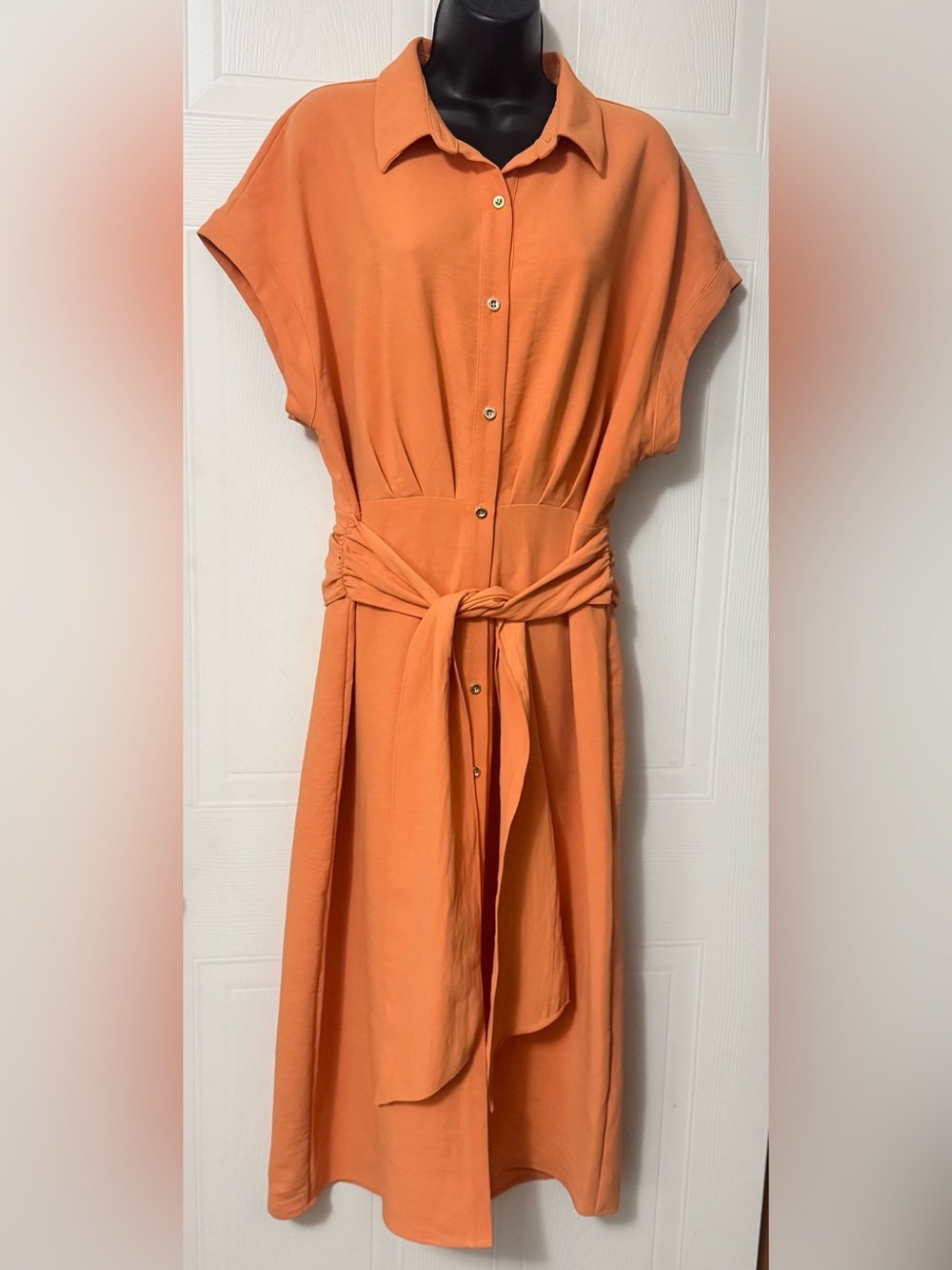 Worthington Ladies Sheath Button Down Front Dress Ties at Waist Size Large Peach